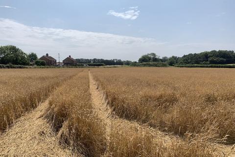 Farm land for sale, 10.16 Ha (25.11 Acres) Arable Land, Ploughboy Lane, Saham Hills, Thetford, Norfolk, IP25