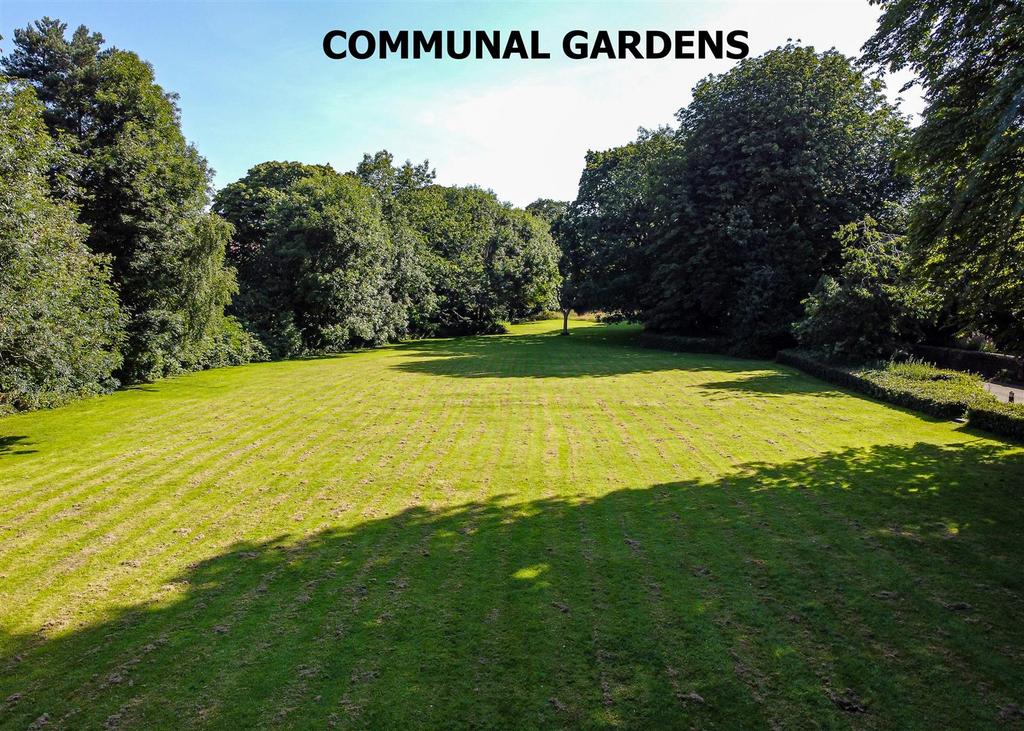 19 &amp; 20 Park Dale West   Drone 10 Communal Gardens