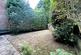 Garden.JPG