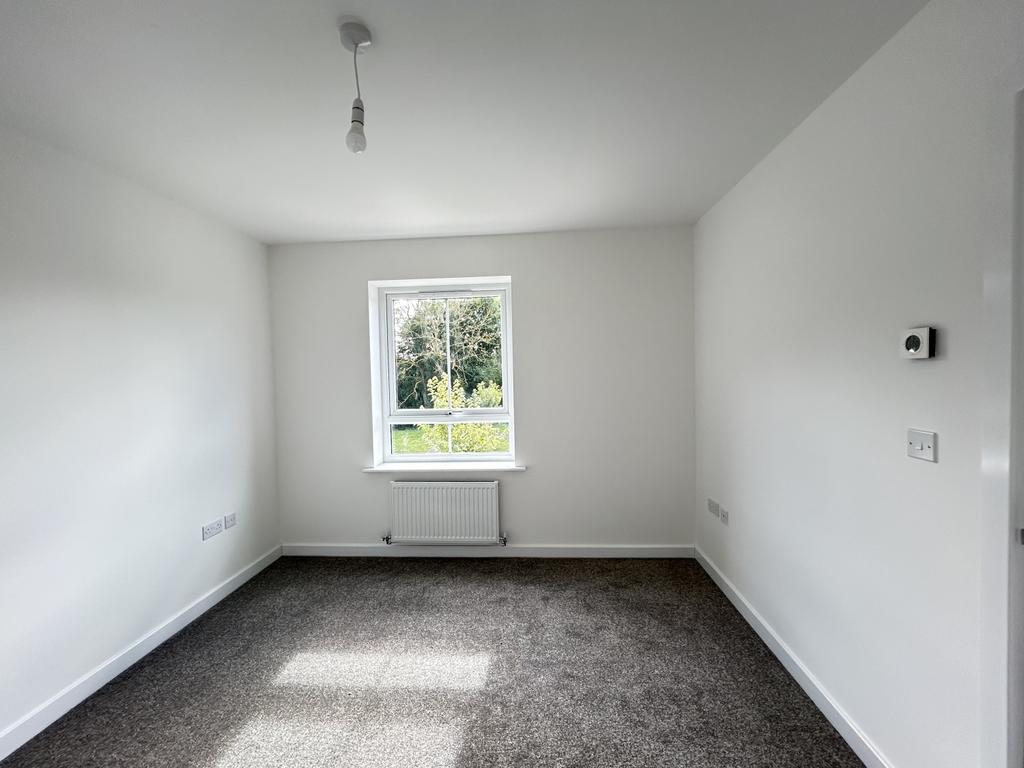 Img 4133