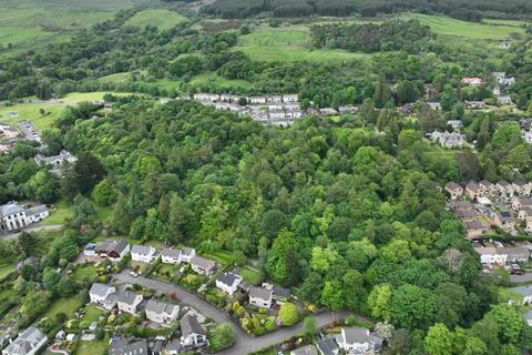 Woodland for sale, Ardenconnel Wood, Rhu G84