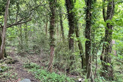 Woodland for sale, Ardenconnel Wood, Rhu G84