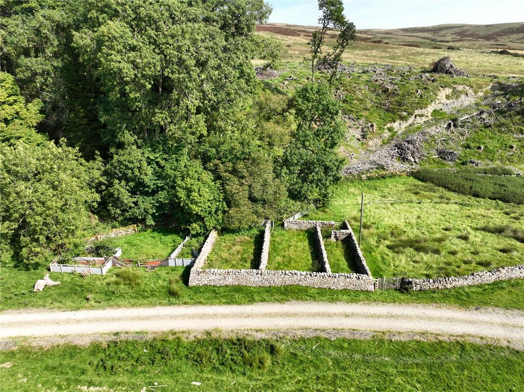 Sheep Handling