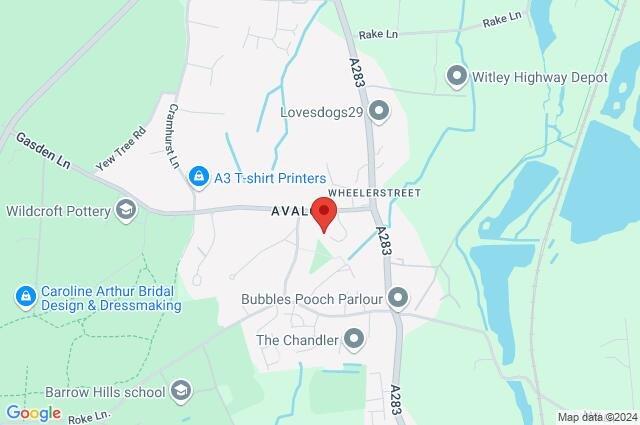 Google Maps Image
