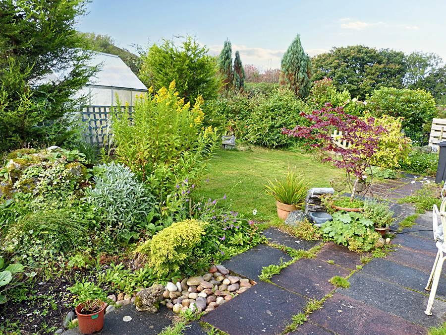 Back Garden