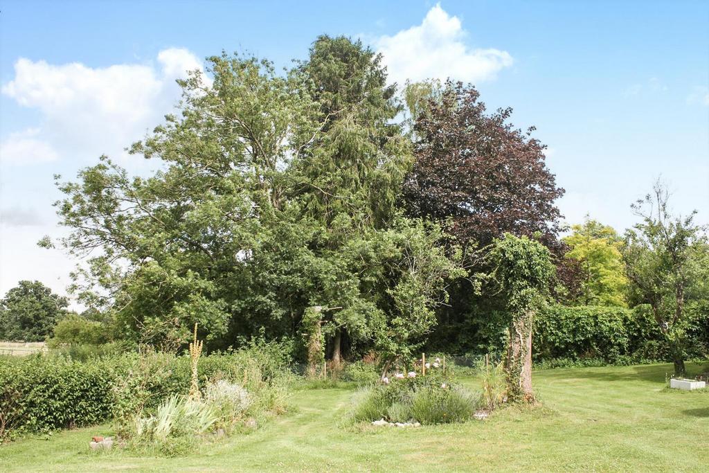 BMS0187-S-GARDEN 3 WEST DEAN.jpg