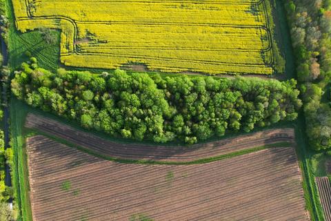 undefined, Chaddesley Corbett, Kidderminster, Worcestershire