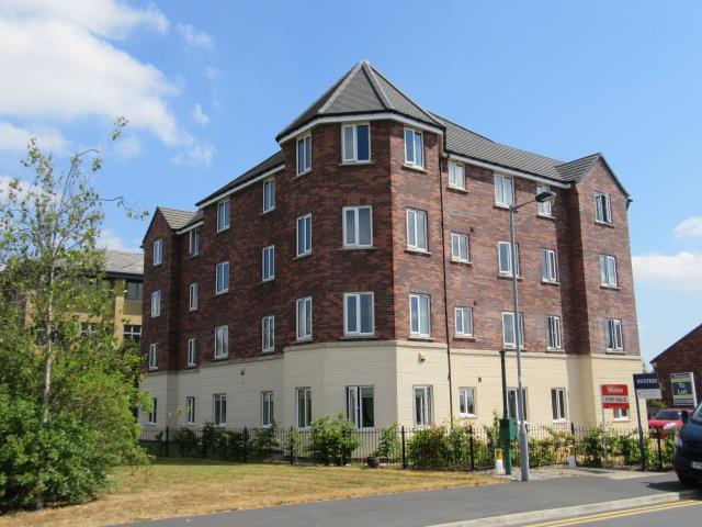 Img 1177.jpg