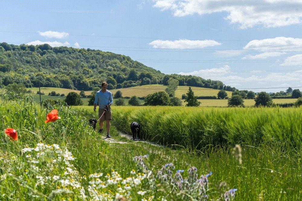 Countryside Walks