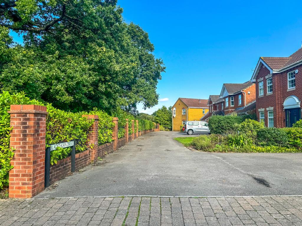 Blackthorn Drive