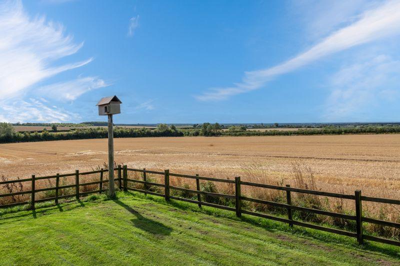 View from Garden