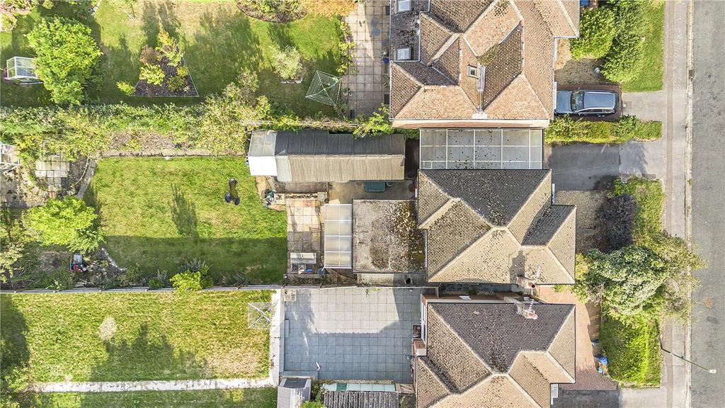 Birds Eye