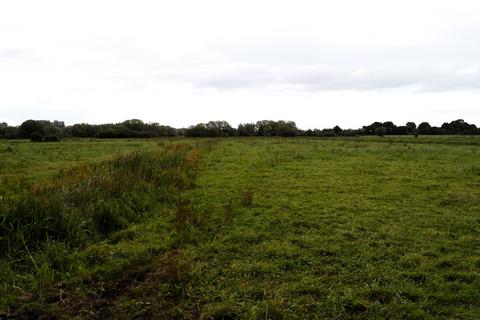 Land for sale, Frog Lane, Langport, Somerset, TA10