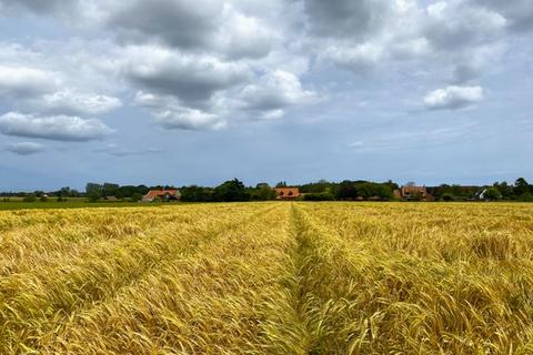 Farm land for sale, 9.74 Ha (24.06 Ac) Grade 1 Arable Land, Calthorpe Street, Ingham, Norfolk, NR12 9TF