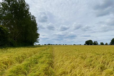 Farm land for sale, 9.74 Ha (24.06 Ac) Grade 1 Arable Land, Calthorpe Street, Ingham, Norfolk, NR12 9TF