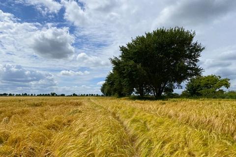 Farm land for sale, 9.74 Ha (24.06 Ac) Grade 1 Arable Land, Calthorpe Street, Ingham, Norfolk, NR12 9TF