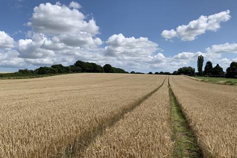 Farm land for sale, LOT 6 - 6.05 Ha (14.95 Ac) Arable Land, Hemblington Road, Strumpshaw, Norfolk, NR13 4NE