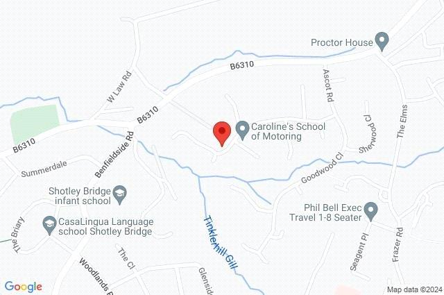 Google Maps Image