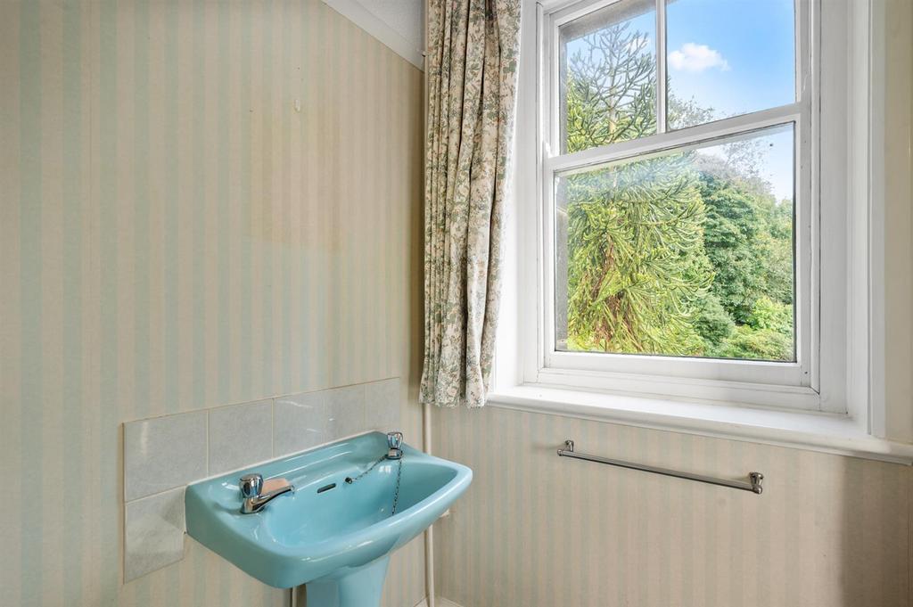 Bedroom Four   sink and monkey puzzle tree.jpg