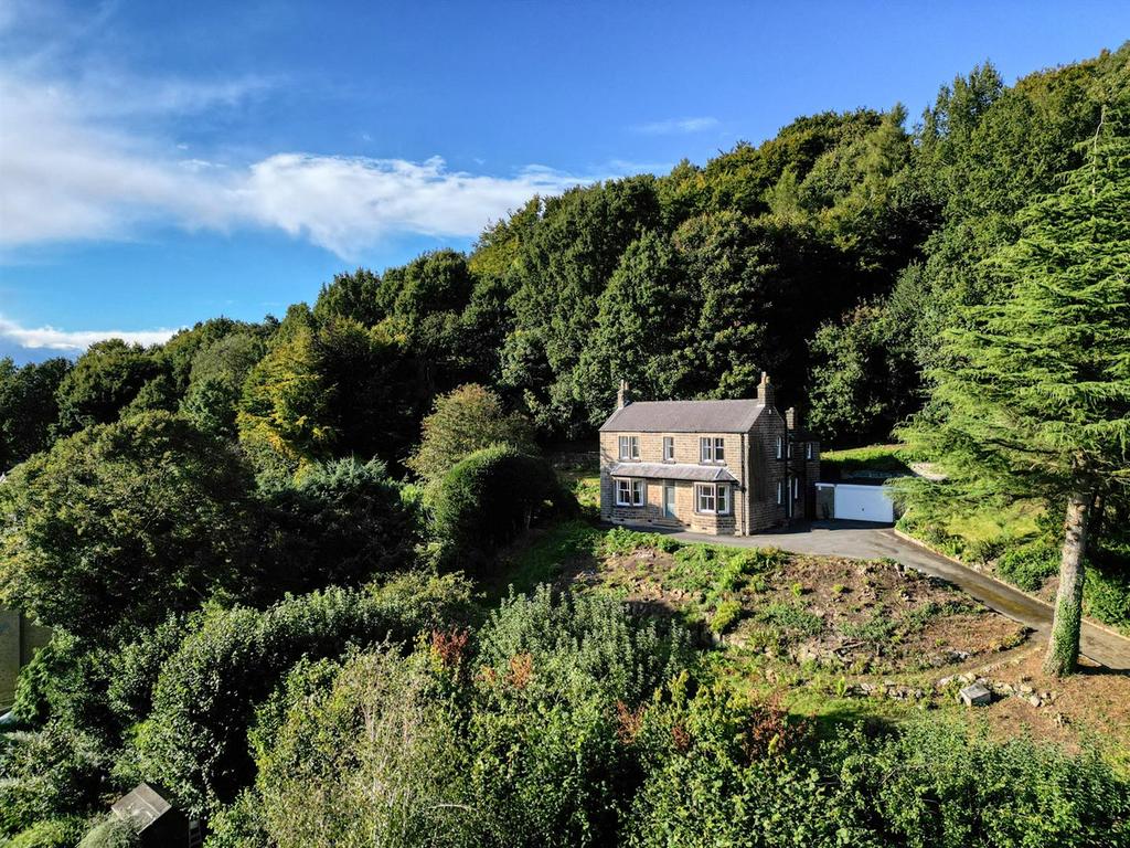 Front of the home, garden and woodland.jpg