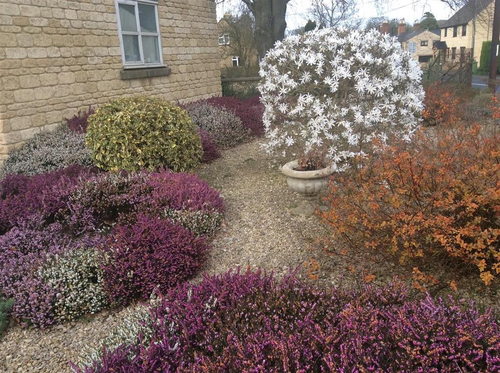 Vendor garden photo.jpg