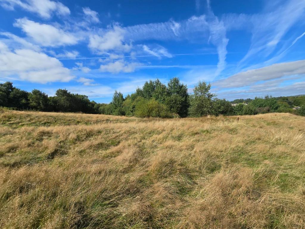 Land