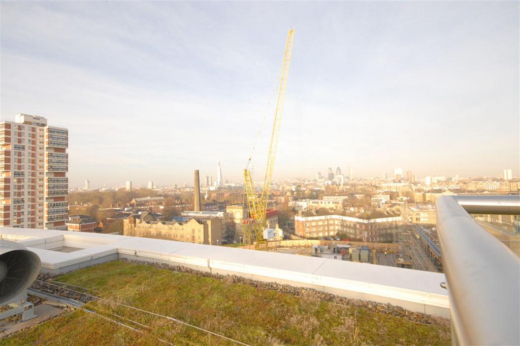 Communal Roof Top Te