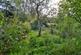Additional image 15 of Peperharow Road, Godalming, Surrey, GU7