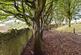 Additional image 7 of Aberdeenshire AB39