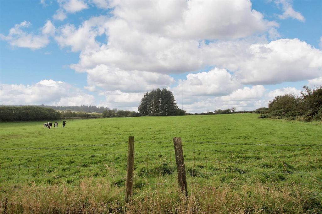 Land and views