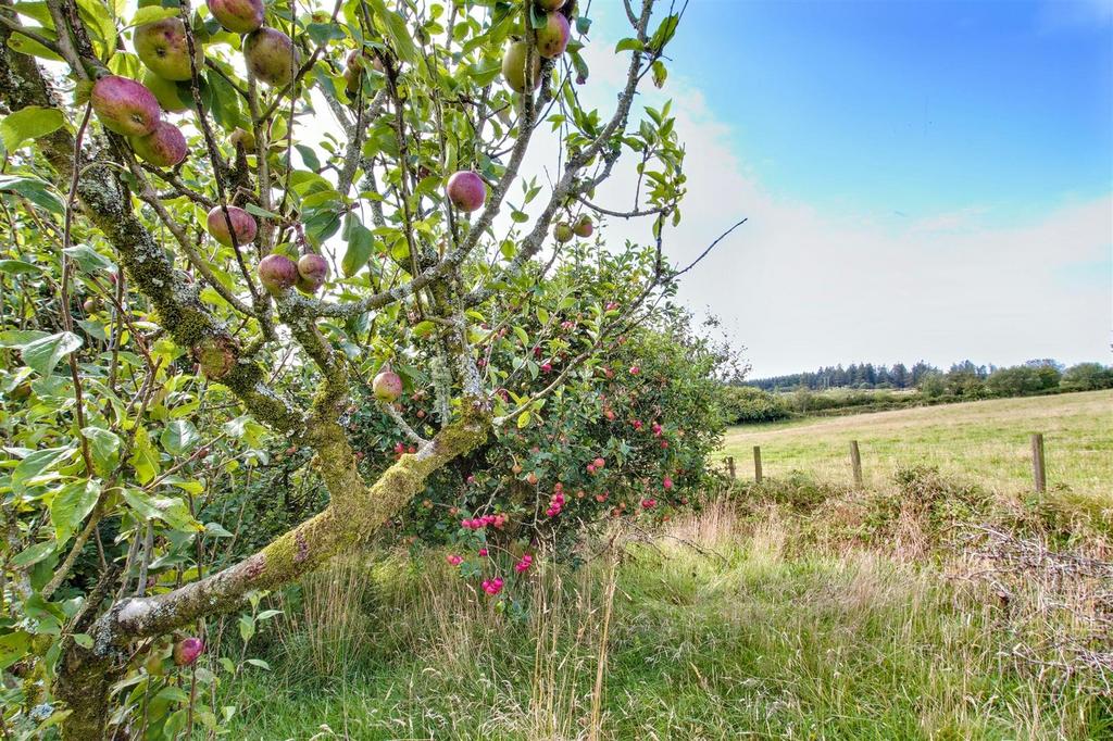 Fruit on Orchard Trees