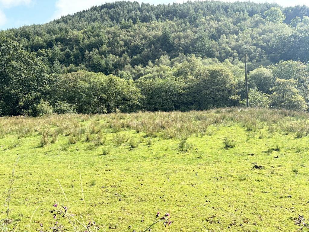 Maes y Cerdyn, Llanwrtyd Wells, Powys. Land for sale £50,000