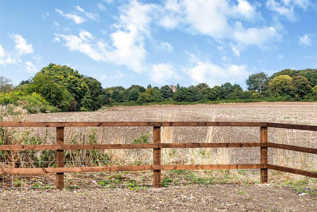 Open Field Views