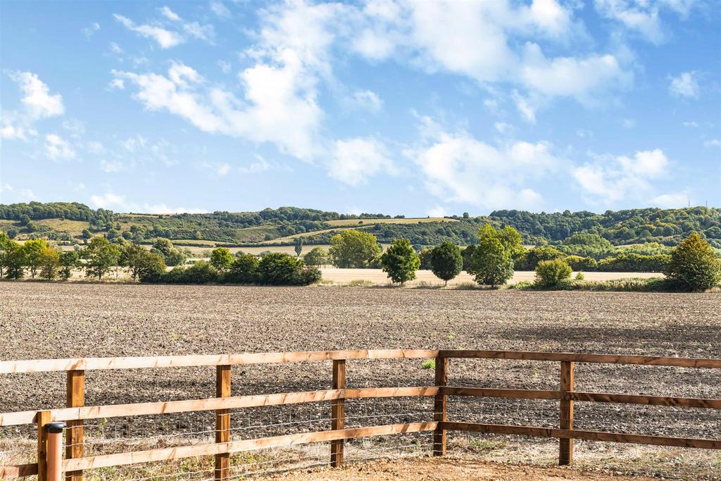 Open Field Views