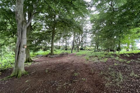 Land for sale, Hayton Moss Wood & Tarn, Brampton CA8