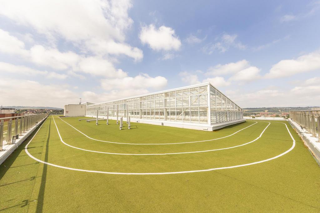 Roof terrace