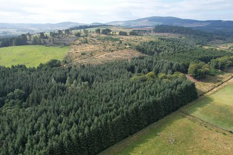 Woodland for sale, Kirkhill Wood, Sauchen, Aberdeenshire AB51