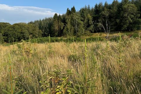 Woodland for sale, Kirkhill Wood, Sauchen, Aberdeenshire AB51