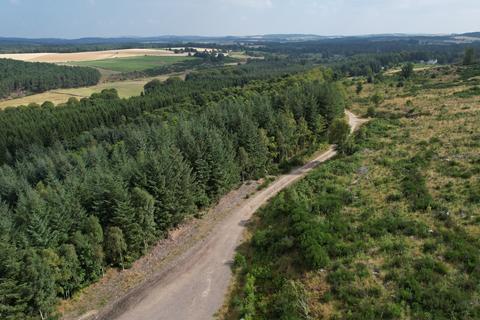 Woodland for sale, Kirkhill Wood, Sauchen, Aberdeenshire AB51