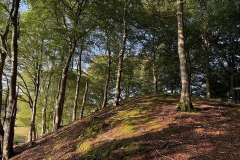 Woodland for sale, Kirkhill Wood, Sauchen, Aberdeenshire AB51