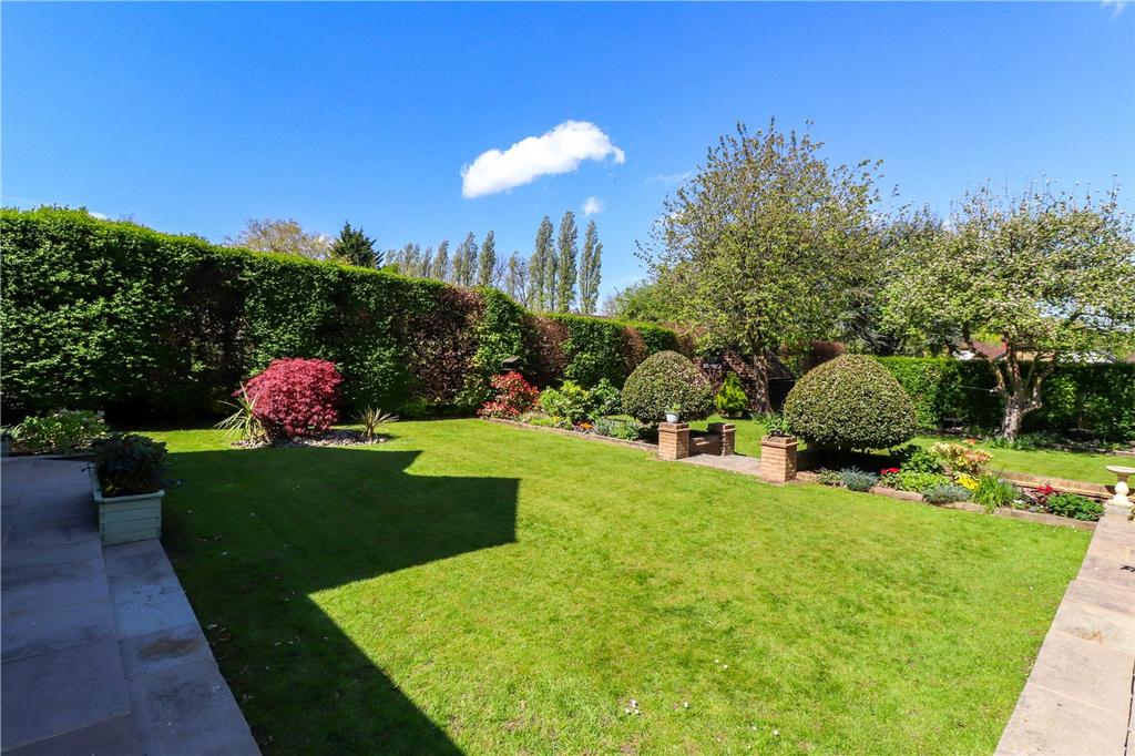 Garden 2