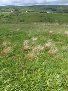 undefined, Land At Hard Hills, South Stainmore, Kirkby Stephen, CA17