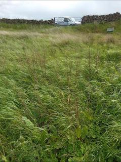 undefined, Land At Hard Hills, South Stainmore, Kirkby Stephen, CA17