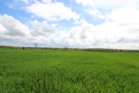 Farm for sale, Lot 2 Gubeon Farm, Tranwell, Morpeth, NE61