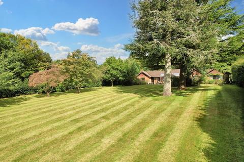 3 bedroom detached bungalow for sale, Marley Common, Haslemere