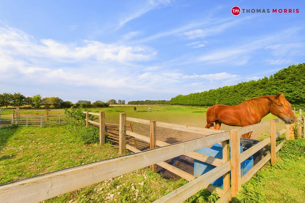 Paddocks