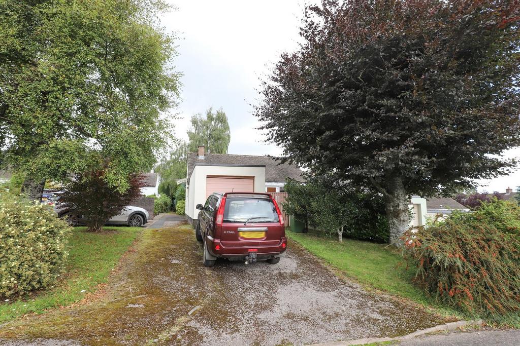 Garden &amp; Driveway