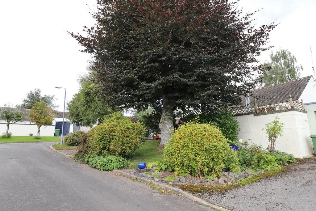 Garden &amp; Driveway