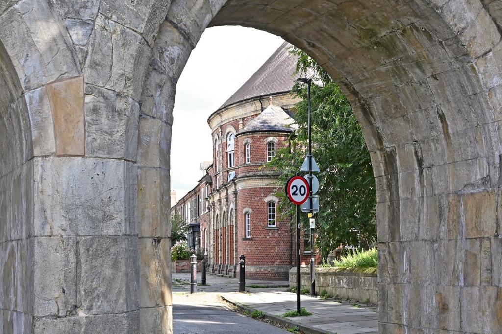 Picture 7