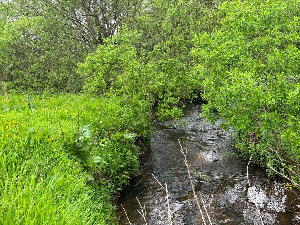 Photo 2024 06 05 11